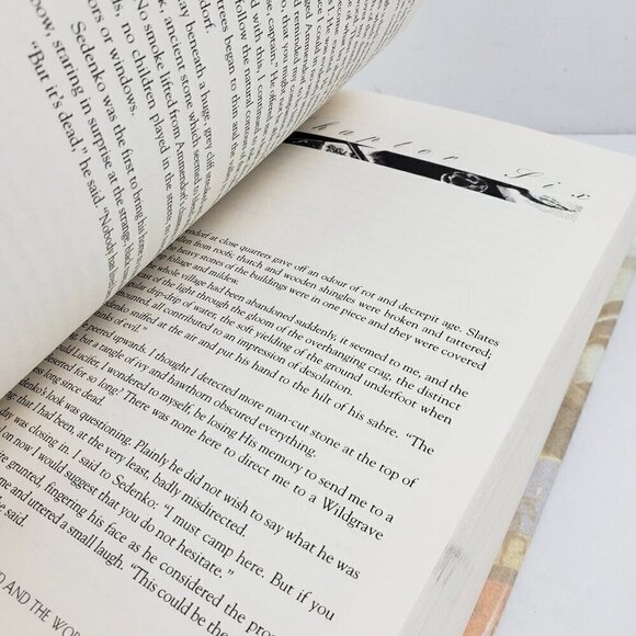 Michael Moorcock Von Beck Book First Hardcover Edition 1995 Eternal Champion - Picture 13 of 15